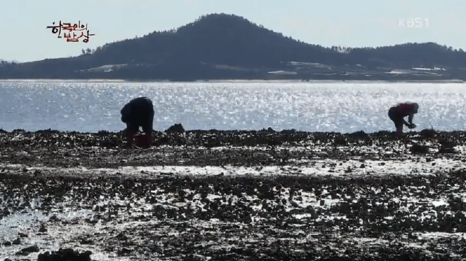 한국인의 밥상 무안 황토 갯벌 밥상편 | 인스티즈