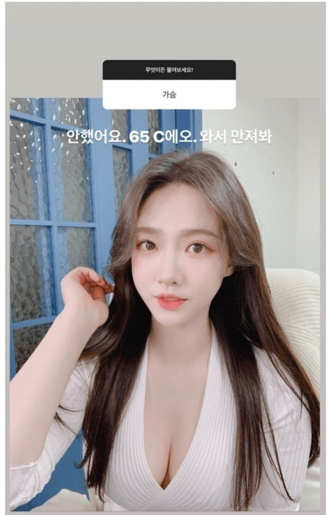 동물농장 고양이녀 근황 | 인스티즈