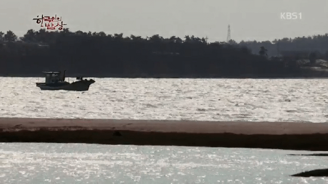 한국인의 밥상 무안 황토 갯벌 밥상편 | 인스티즈