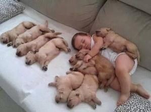 편안한 인절미 | 인스티즈