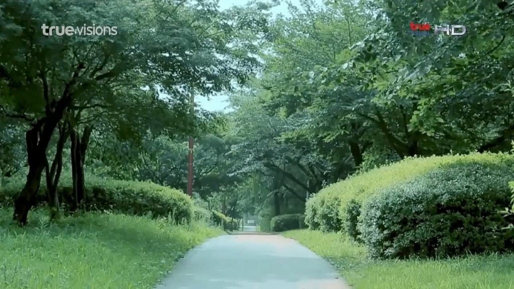 태국 드라마에 나오는 한국의 모습.jpg | 인스티즈