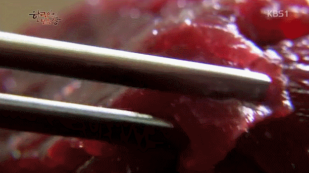 한국인의 밥상 소고기.jpg (혐오주의) | 인스티즈