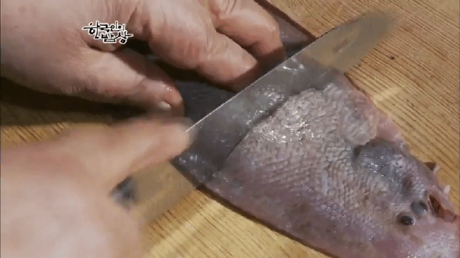 한국인의 밥상 여수 봄바다편 | 인스티즈