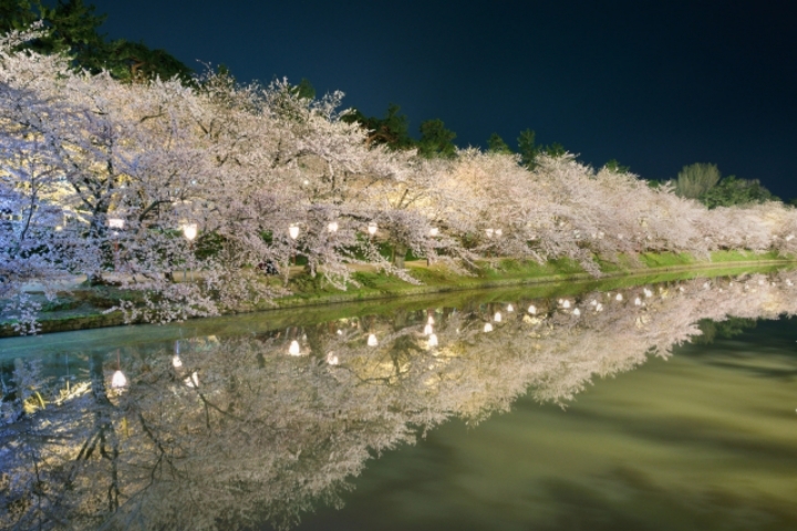 유튜브 창업자와 결혼한 한국여성.jpg | 인스티즈