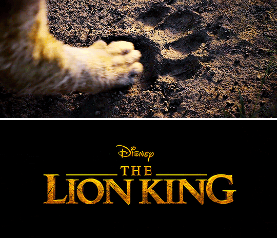 라이온킹 1994/2019 비교.jpgif | 인스티즈
