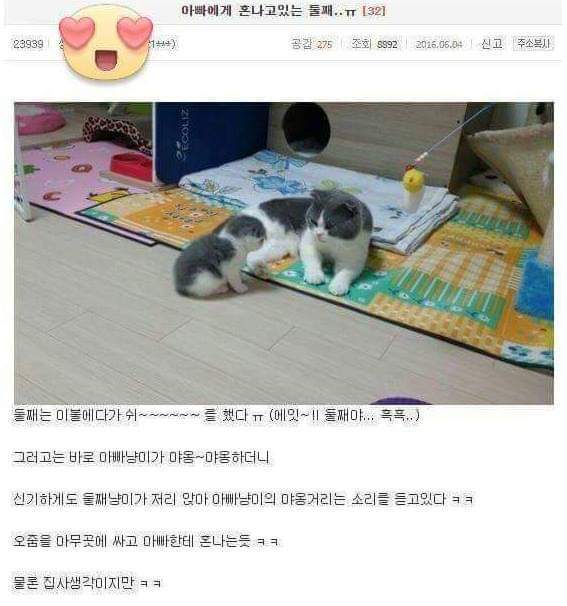 아빠에게 혼나고 있는 둘째.jpg | 인스티즈