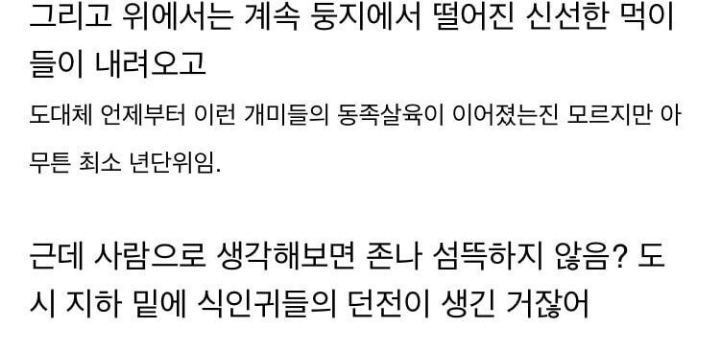 냉혹한 개미의 생존력....JPG | 인스티즈