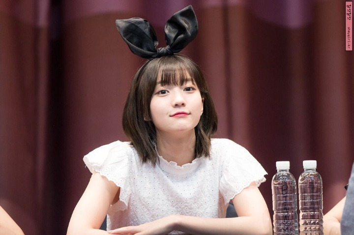 데이비니 이미지