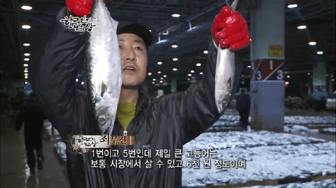 한국인의 밥상 고등어편 | 인스티즈