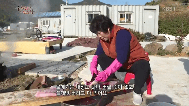 한국인의 밥상 남쪽 바다 해장국편 | 인스티즈