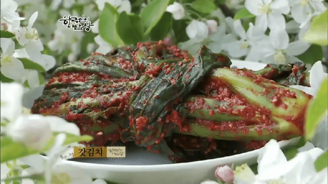 한국인의 밥상 여수 봄바다편 | 인스티즈