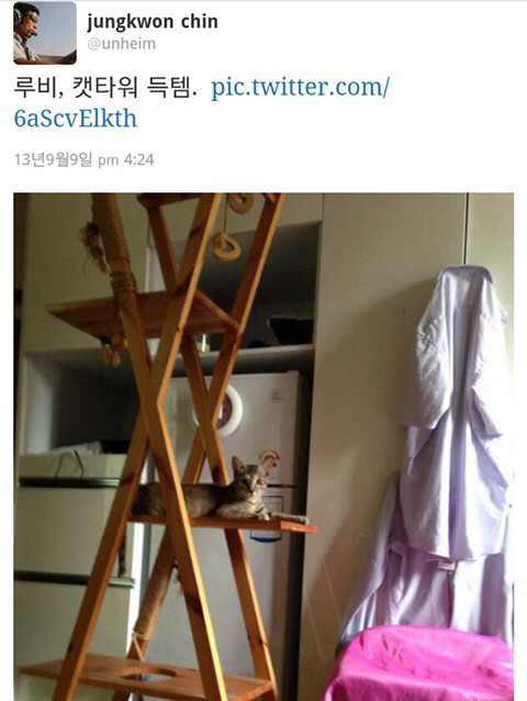 진중권에게 애묘 루비(고양이 이름) 캣타워 준 사람 | 인스티즈