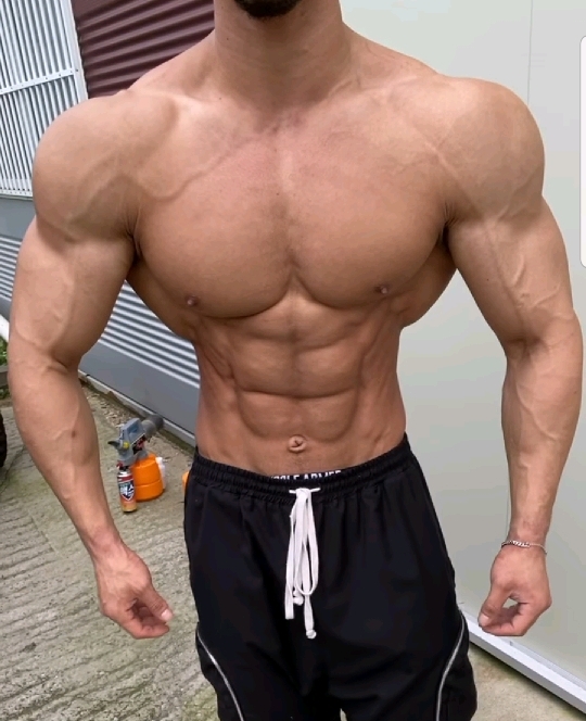 국내 피지크를 1년여만에 접수한 괴물신인 김민수 | 인스티즈