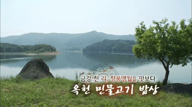 한국인의 밥상 옥천 민물고기 밥상편 | 인스티즈