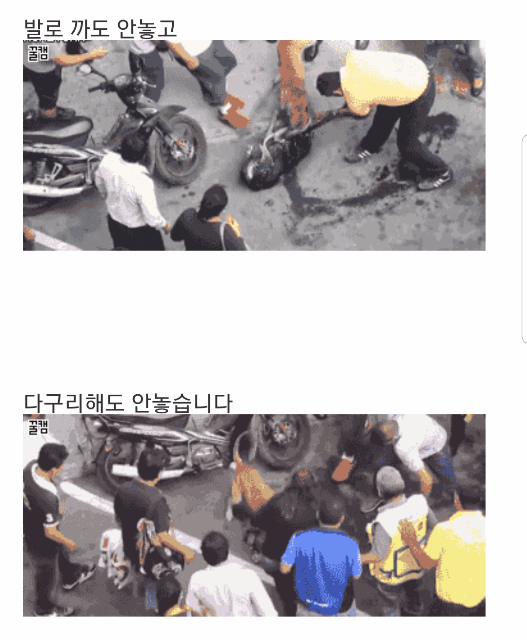 맹견을 가볍게 보시는 분들에게....gif | 인스티즈
