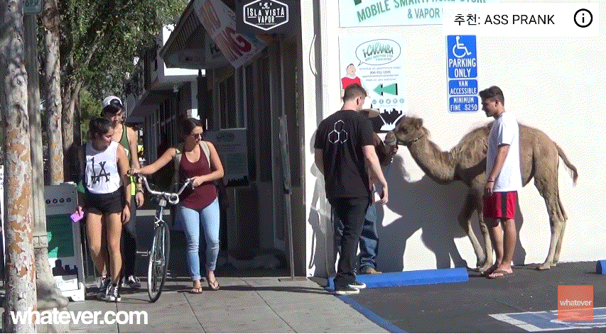 와~ 도끼자국 엄청 크다~ | 인스티즈
