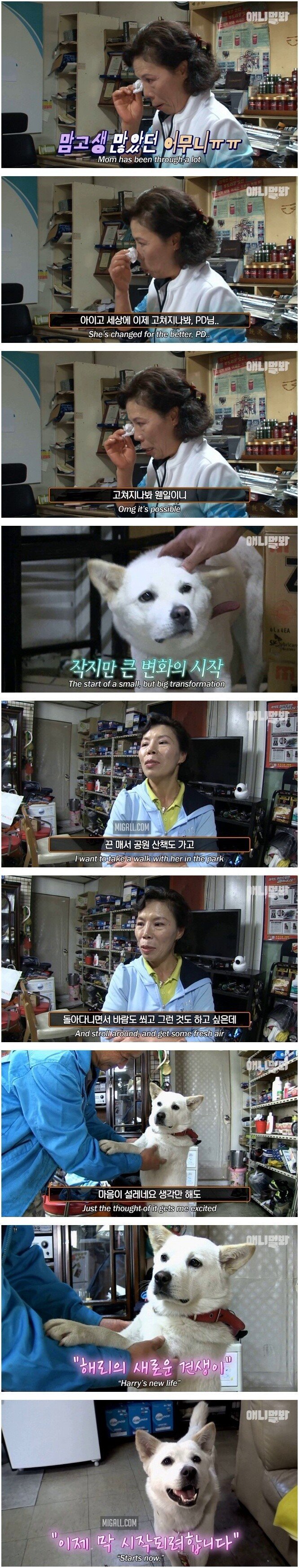 스압) 단 두 사람이 세상의 전부인 백구.jpg | 인스티즈