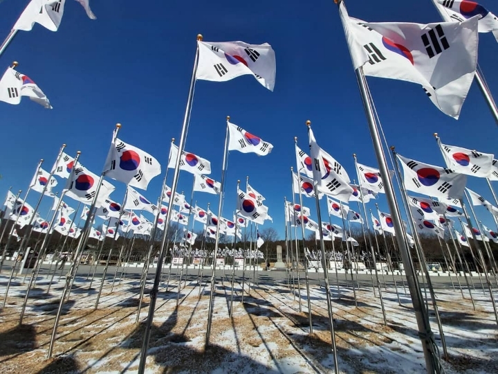 자살시도에 도로 초토화 gif | 인스티즈