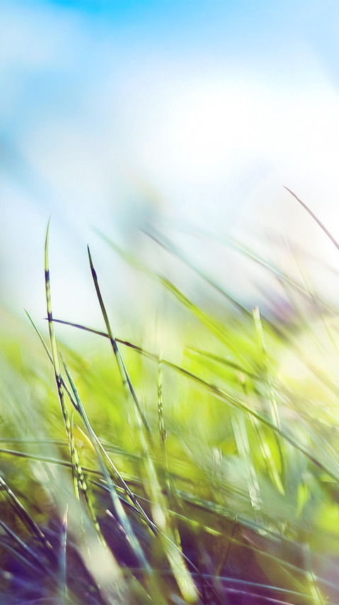 가난한 모자가정으로 내가 태어났을땐 카메라 같은게 없었다 | 인스티즈