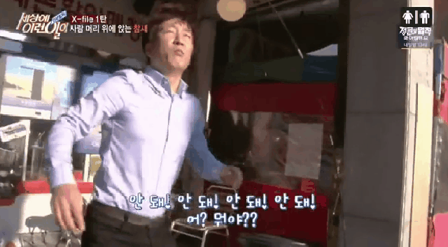 세상에 이런일이 촬영하다 동물의왕국됨 .gif | 인스티즈