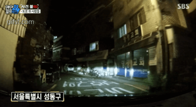 골목길에서 만난 도라이.jpgif | 인스티즈