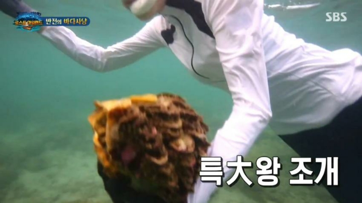 대왕조개잡는 이열음 | 인스티즈