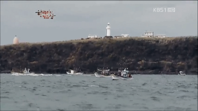 한국인의 밥상 제주 방어편 | 인스티즈