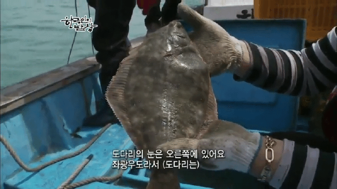 한국인의 밥상 여수 봄바다편 | 인스티즈