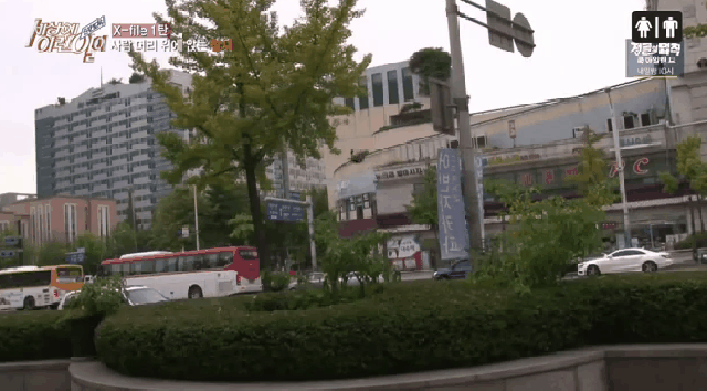 세상에 이런일이 촬영하다 동물의왕국됨 .gif | 인스티즈