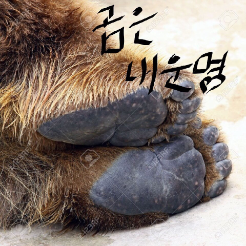 잠 못 이루는 곰돌이들 | 인스티즈