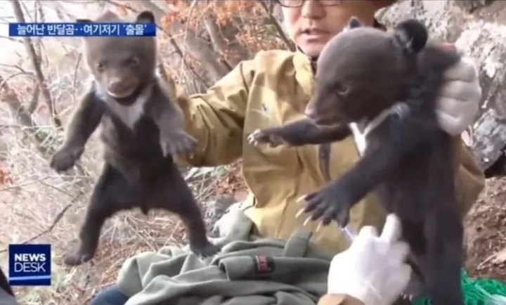 지리산 정ㅋ복ㅋ | 인스티즈