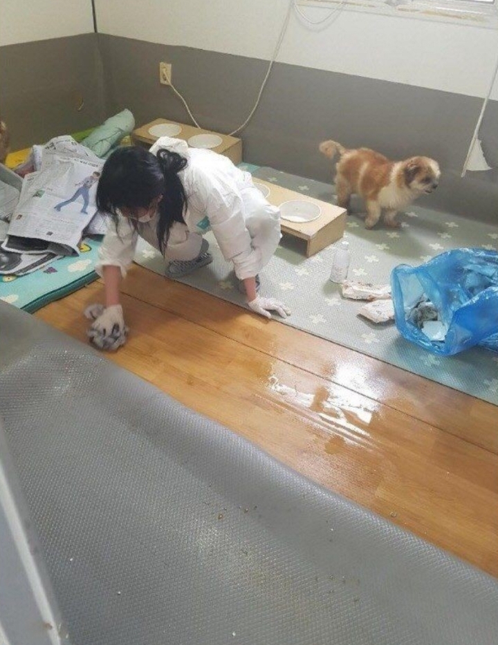 대한민국 연예인 원탑.jpg | 인스티즈