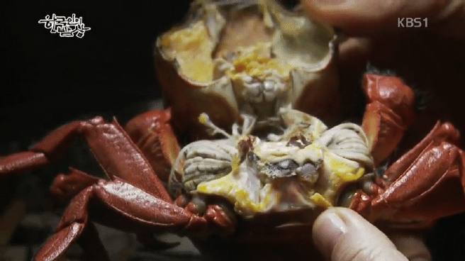 한국인의 밥상 섬진강편 | 인스티즈