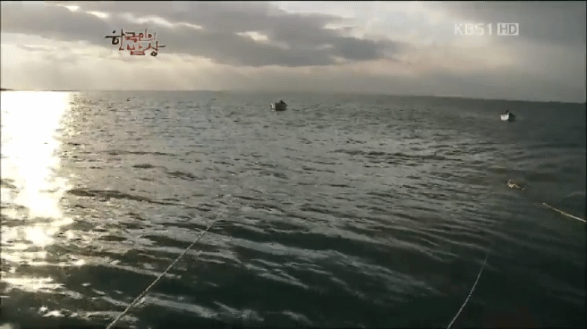 한국인의 밥상 제주 방어편 | 인스티즈