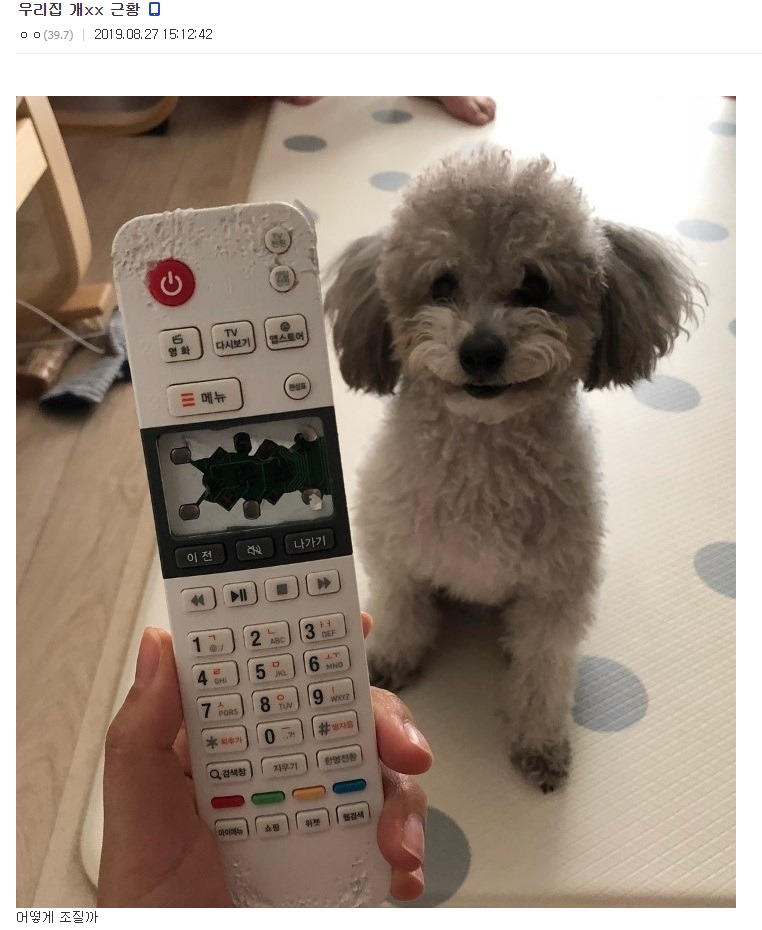 뭐ㅋㅋㅋ주인놈아ㅋㅋㅋㅋ | 인스티즈