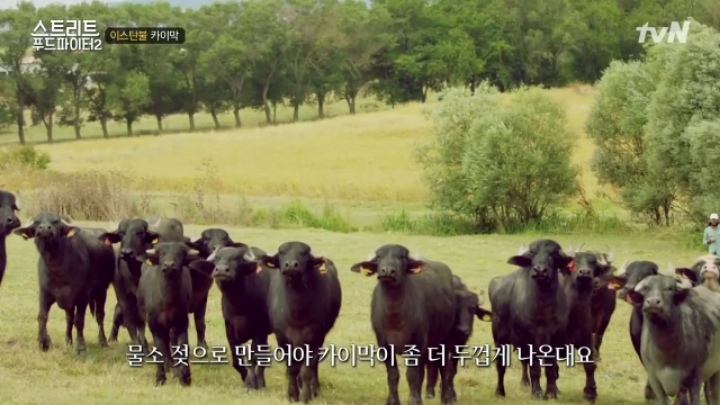 터키가면 꼭 먹어봐야 하는 음식!! (스푸파2) | 인스티즈