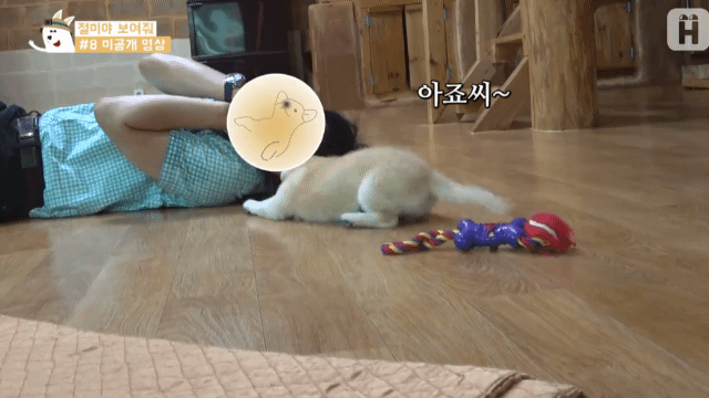아저씨가 너무 좋은 짱절미.gif | 인스티즈