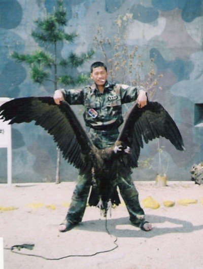 독수리 체감짤 . 그리고~ | 인스티즈