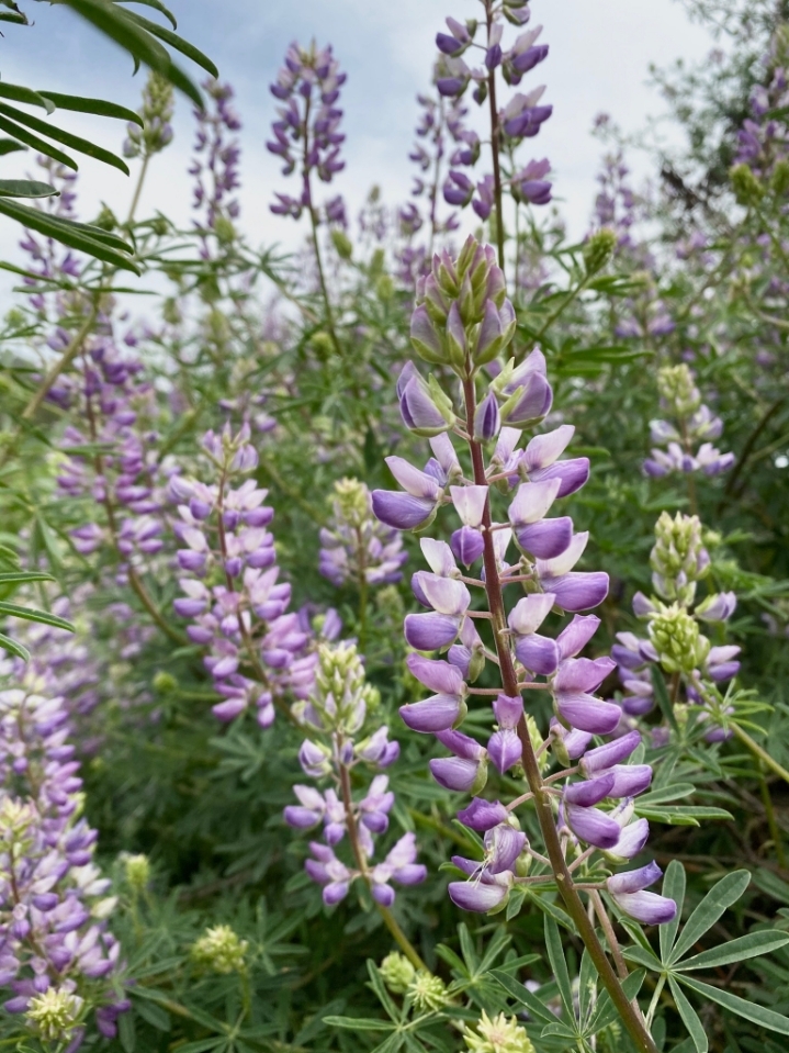 신기한 마술.gif | 인스티즈