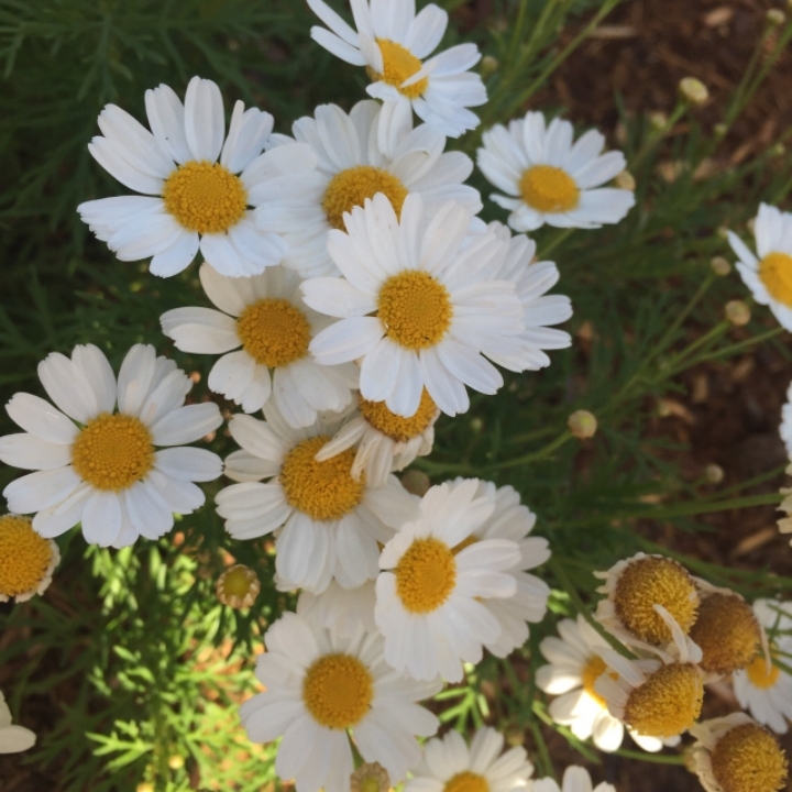 결혼한 후 알게 되는 것들.jpg | 인스티즈