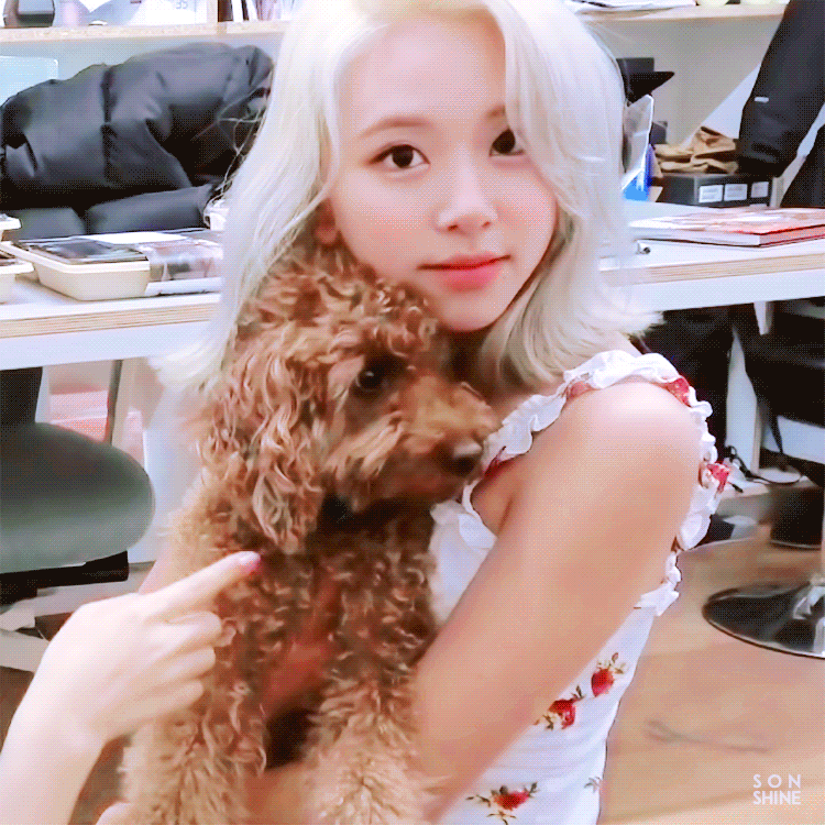 고양이 제조 과정.jpg | 인스티즈