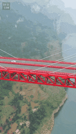 대륙의 흔한 다리.gif | 인스티즈