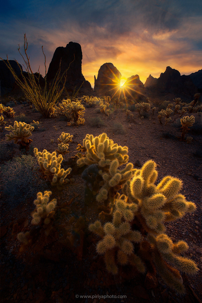 식당 공기밥 2,000원 처음 봄.jpg | 인스티즈