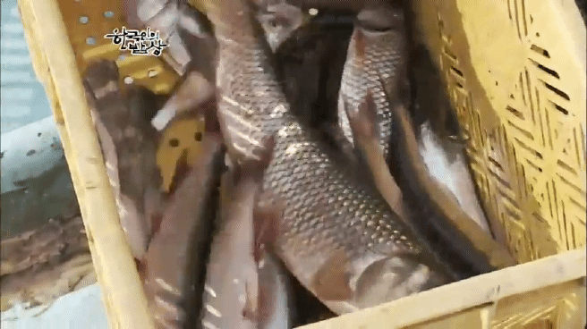 한국인의 밥상 옥천 민물고기 밥상편 | 인스티즈