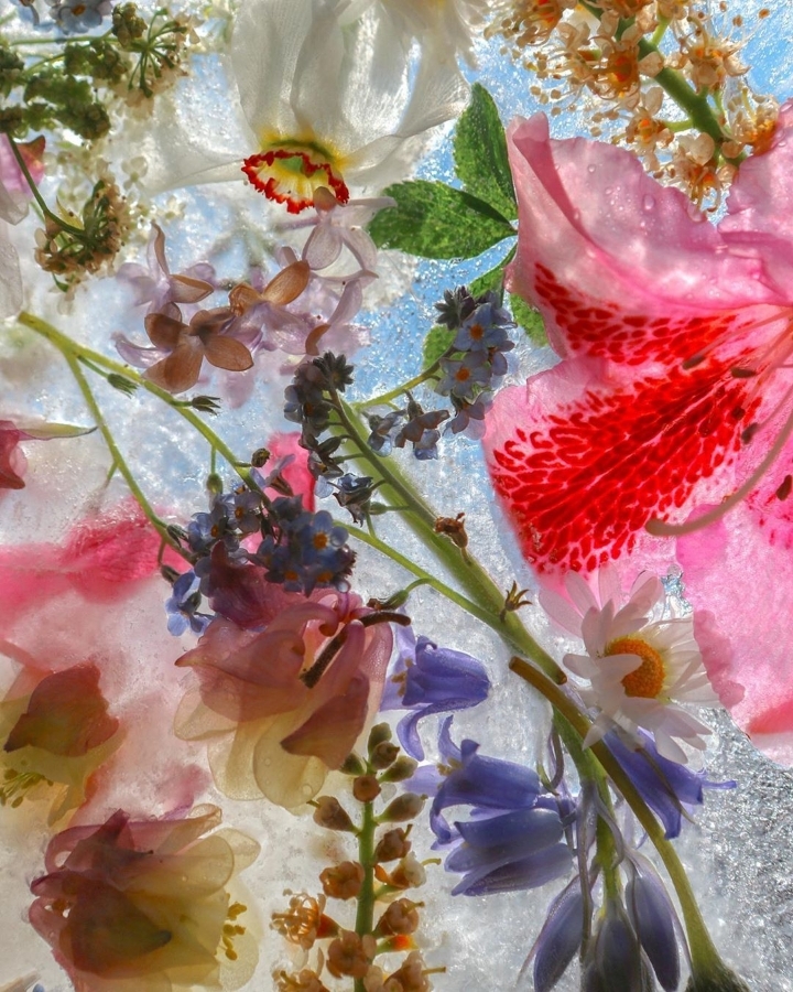 우라가 몰랐던 소화전의 진실.jpg | 인스티즈