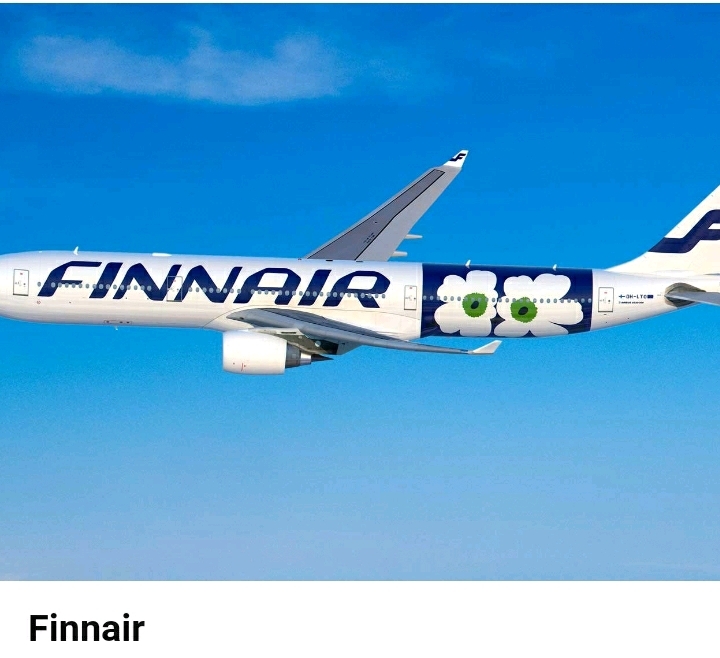 특이한 디자인을 가진 세계 항공사들 | 인스티즈