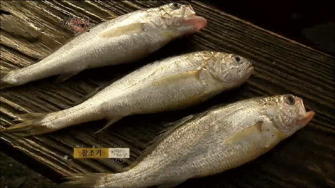 한국인의 밥상 추자도 참조기 밥상편 | 인스티즈