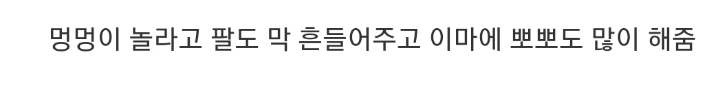 눈물 주의) 안락사 직전 주인과 함께하는 댕댕이.gif | 인스티즈