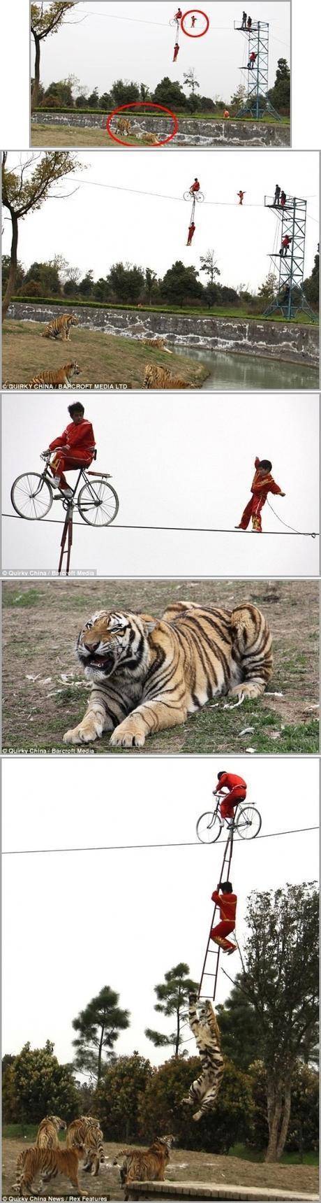 목숨 걸고하는 중국의 서커스.jpg | 인스티즈