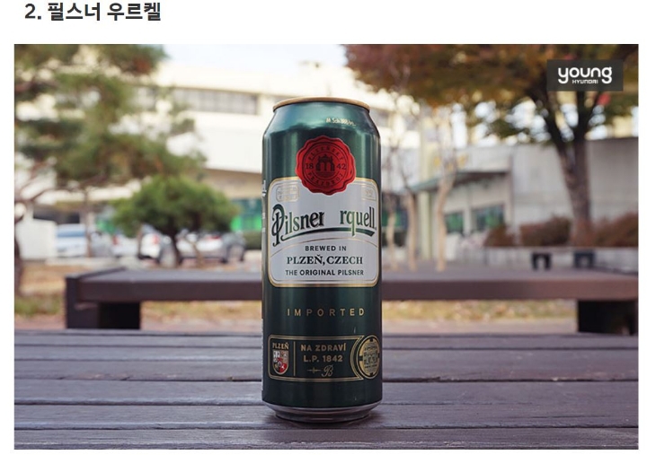 시원한 맥주가 간절한 날.. 한 가지만 고른다면? | 인스티즈